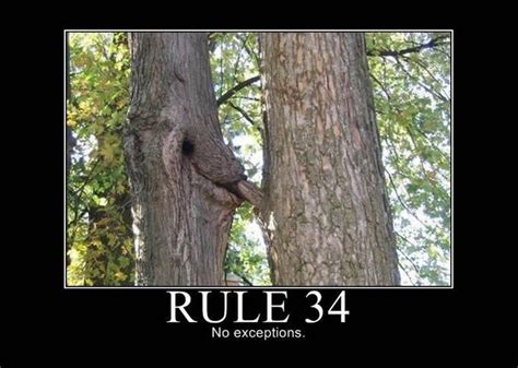 This is an imaginary law that states that if there&x27;s any conceivable idea that could be turned into pornography, then that type porn already exists. . Rule 34 tree